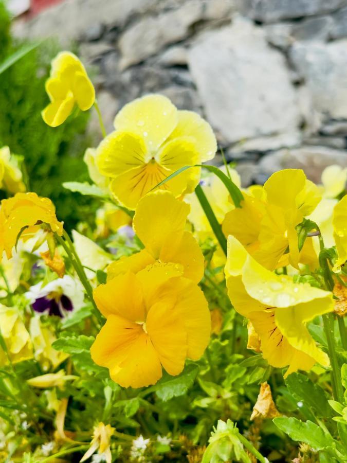 Orgventure Resorts Skardu Dış mekan fotoğraf
